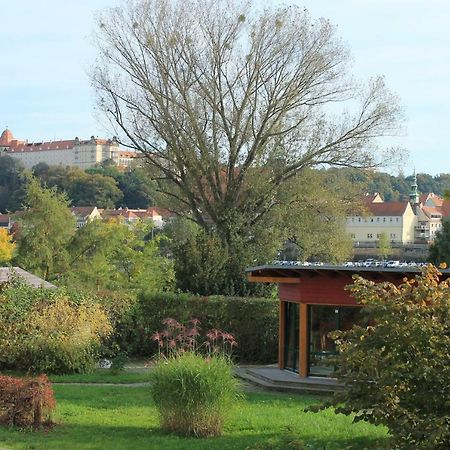 Ferienoase Apartment Pirna Exterior photo